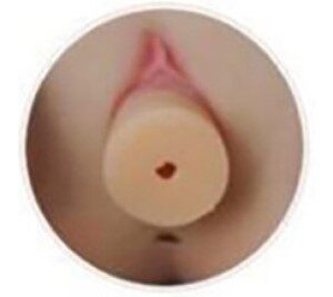 Replaceable Vagina Insert - customized sex doll